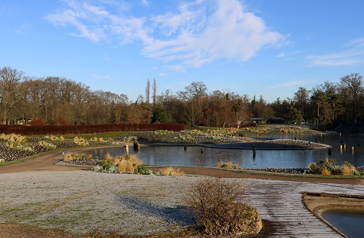 LE-PARC-FLORAL-04